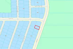 Fisher Rd, Ocklawaha, FL 32179 - Photo 1
