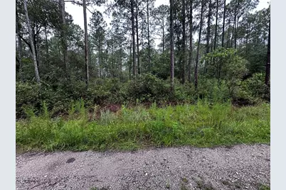 Ne 66th Ave, Citra, FL 32113 - Photo 3