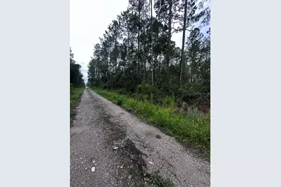 Ne 66th Ave, Citra, FL 32113 - Photo 5