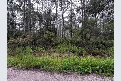 Ne 66th Ave, Citra, FL 32113 - Photo 1