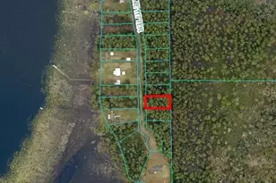 NE 117th Terrace, Fort Mc Coy, FL 32134 - Photo 1