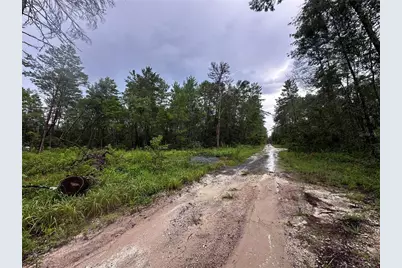 Ne 112th Ct, Fort Mc Coy, FL 32134 - Photo 3