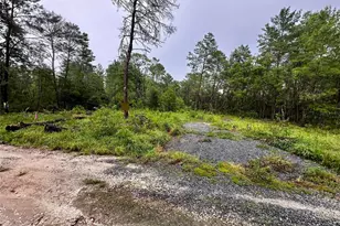 NE 112th Ct, Fort Mc Coy, FL 32134 - Photo 1