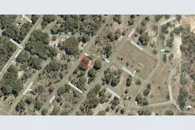 Tbd Guava Ln, Ocklawaha, FL 32179 - Photo 1