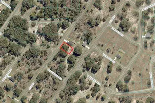 Tbd Guava Ln, Ocklawaha, FL 32179 - Photo 1