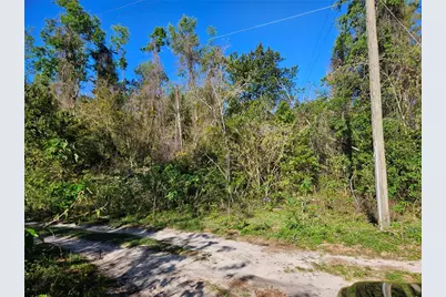 10160 SE 49th Court, Belleview, FL 34420 - Photo 3