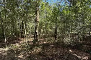 0 NW 14th St, Ocala, FL 34482 - Photo 1