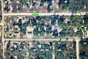 329 Blue Moon Ave, Lake Placid, FL 33852 - Photo 1