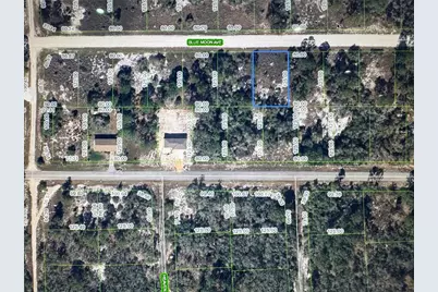 325 Blue Moon Avenue, Lake Placid, FL 33852 - Photo 1