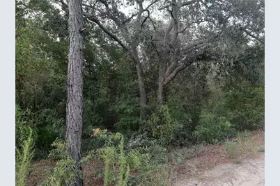 Tbd NE 87th Place, Bronson, FL 32621 - Photo 1