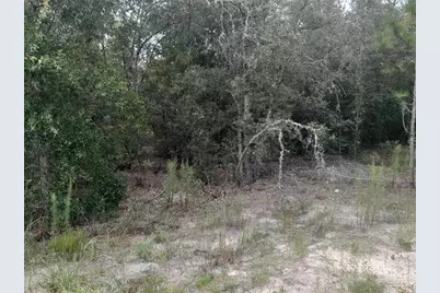 Tbd NE 87th Place, Bronson, FL 32621 - Photo 5