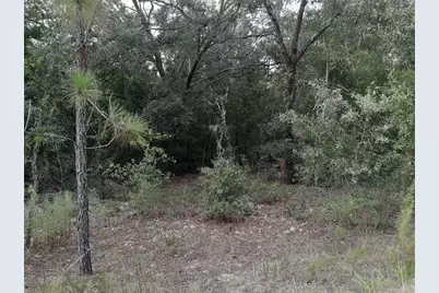 Tbd NE 87th Place, Bronson, FL 32621 - Photo 3