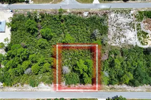 Tbd SW Fisher Pass, Ocklawaha, FL 32179 - Photo 1