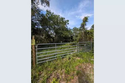 9747 NE 302nd Court, Salt Springs, FL 32134 - Photo 3