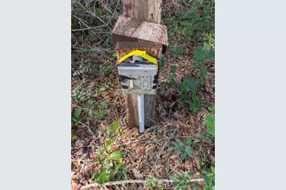 9747 NE 302nd Court, Salt Springs, FL 32134 - Photo 5