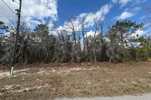 13232 SW 83rd Cir, Ocala, FL 34473 - Photo 1