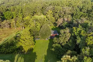 22157 NW 87th Avenue Rd, Micanopy, FL 32667 - Photo 83