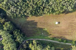 22157 NW 87th Avenue Rd, Micanopy, FL 32667 - Photo 95