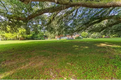 22157 NW 87th Avenue Road, Micanopy, FL 32667 - Photo 47