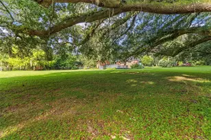 22157 NW 87th Avenue Rd, Micanopy, FL 32667 - Photo 47