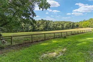 22157 NW 87th Avenue Rd, Micanopy, FL 32667 - Photo 69