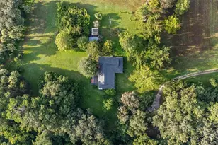 22157 NW 87th Avenue Rd, Micanopy, FL 32667 - Photo 91