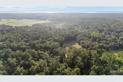 22157 NW 87th Avenue Road, Micanopy, FL 32667 - Photo 75