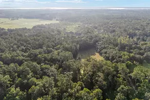 22157 NW 87th Avenue Rd, Micanopy, FL 32667 - Photo 75