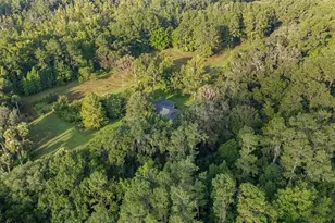 22157 NW 87th Avenue Rd, Micanopy, FL 32667 - Photo 85