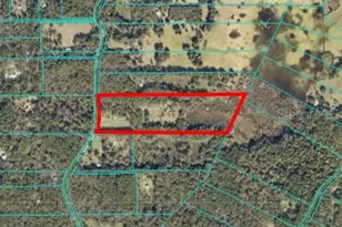 22157 NW 87th Avenue Rd, Micanopy, FL 32667 - Photo 7