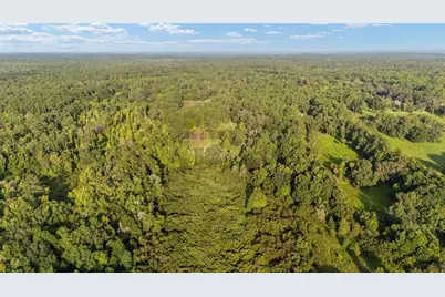 22157 NW 87th Avenue Road, Micanopy, FL 32667 - Photo 89