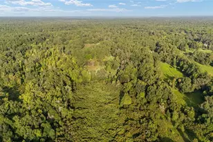 22157 NW 87th Avenue Rd, Micanopy, FL 32667 - Photo 89