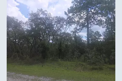 Lot 3 SE 129 Court, Dunnellon, FL 34431 - Photo 3