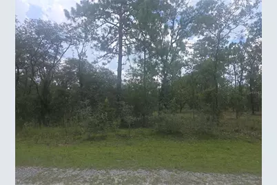 Lot 3 SE 129 Court, Dunnellon, FL 34431 - Photo 1