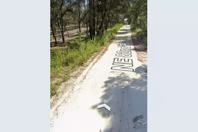 Tbd NE 82nd Place, Bronson, FL 32621 - Photo 7