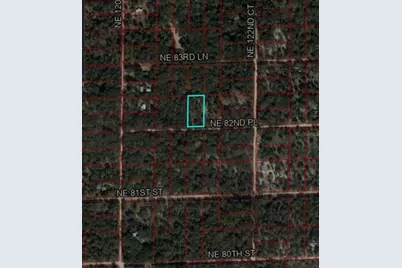 Tbd NE 82nd Place, Bronson, FL 32621 - Photo 9