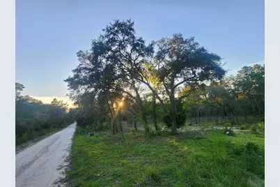 Tbd NE 82nd Place, Bronson, FL 32621 - Photo 5