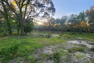 Tbd NE 82nd Pl, Bronson, FL 32621 - Photo 1