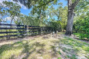 8901 NW 137th Ave, Morriston, FL 32668 - Photo 51