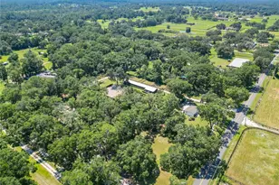 8901 NW 137th Ave, Morriston, FL 32668 - Photo 5