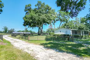 8901 NW 137th Ave, Morriston, FL 32668 - Photo 79