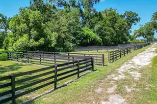 8901 NW 137th Ave, Morriston, FL 32668 - Photo 83