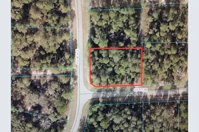 0 SW 41 Avenue, Ocala, FL 34473 - Photo 3