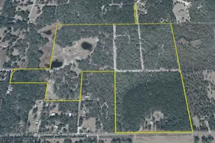 2669 NW Suwannee Valley Rd, Lake City, FL 32055 - Photo 53