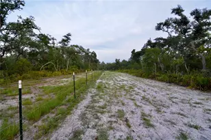 2669 NW Suwannee Valley Rd, Lake City, FL 32055 - Photo 9