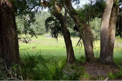 2669 NW Suwannee Valley Road, Lake City, FL 32055 - Photo 25