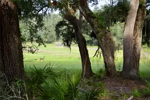 2669 NW Suwannee Valley Rd, Lake City, FL 32055 - Photo 25