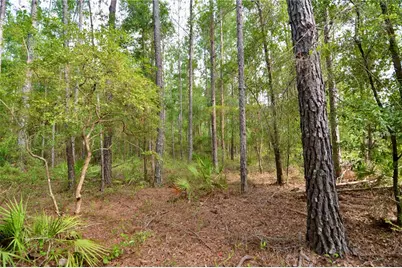 2669 NW Suwannee Valley Road, Lake City, FL 32055 - Photo 31