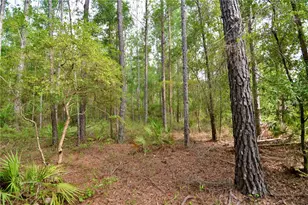 2669 NW Suwannee Valley Rd, Lake City, FL 32055 - Photo 31