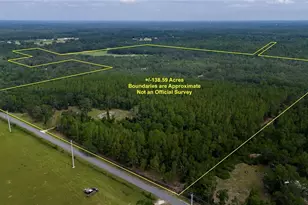 2669 NW Suwannee Valley Rd, Lake City, FL 32055 - Photo 5